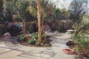 Landscape design for your backyard